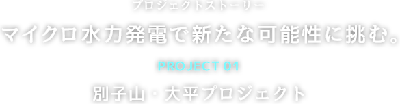 プロジェクトストーリー マイクロ水力発電で新たな可能性に挑む。Project01. 別子山・大平プロジェクト