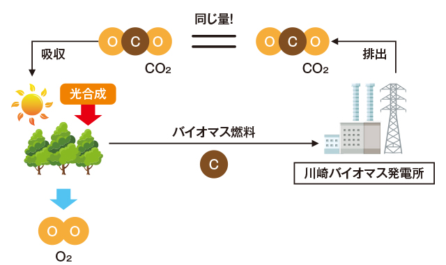 バイオマス発電